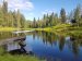 Pluscamp Groven Camping og Hyttegrend 6