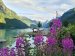 Gryta Camping 9