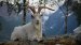 Gryta Camping 4